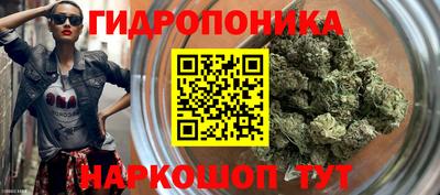 тгк Пугачёв