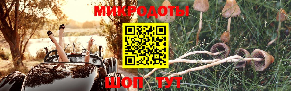 Галлюциногенные грибы прущие грибы  Вход с VPN  Отрадное 